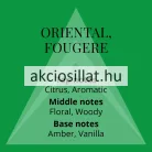 Colour Me Green EDP 50ml / Ralph Lauren Polo Green parfüm utánzat