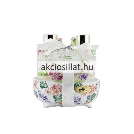 Raphael Rosalee Orchidea ajándékcsomag porcelán bonbonier-ben.