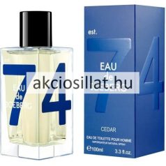 Iceberg Eau De Iceberg Cedar 100ml-es férfi Eau de Toilette flakon letisztult dizájnnal.