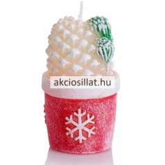 Díszgyertya kaktusz 8cm 1db