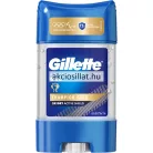 Gillette Champion Gold deo stick gel 70ml