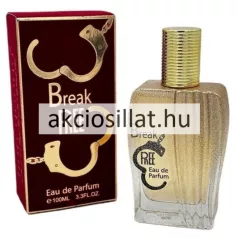   Linn Young Break Free EDP 100ml / Yves Saint Laurent Libre parfüm utánzat